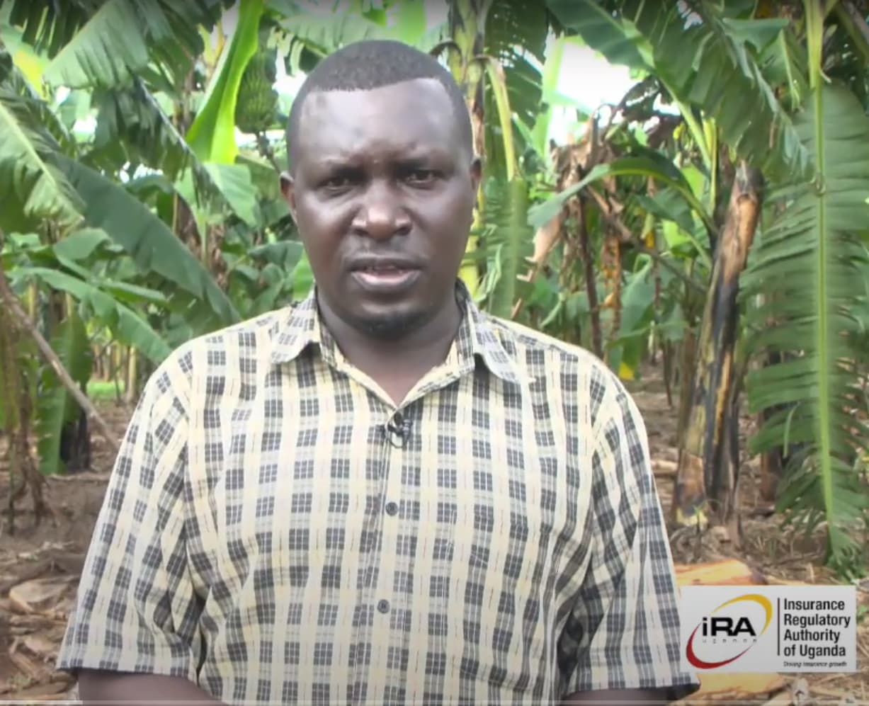 Agricultural Insurance